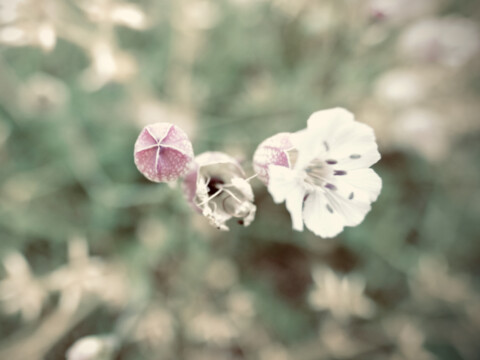 DSCF4183